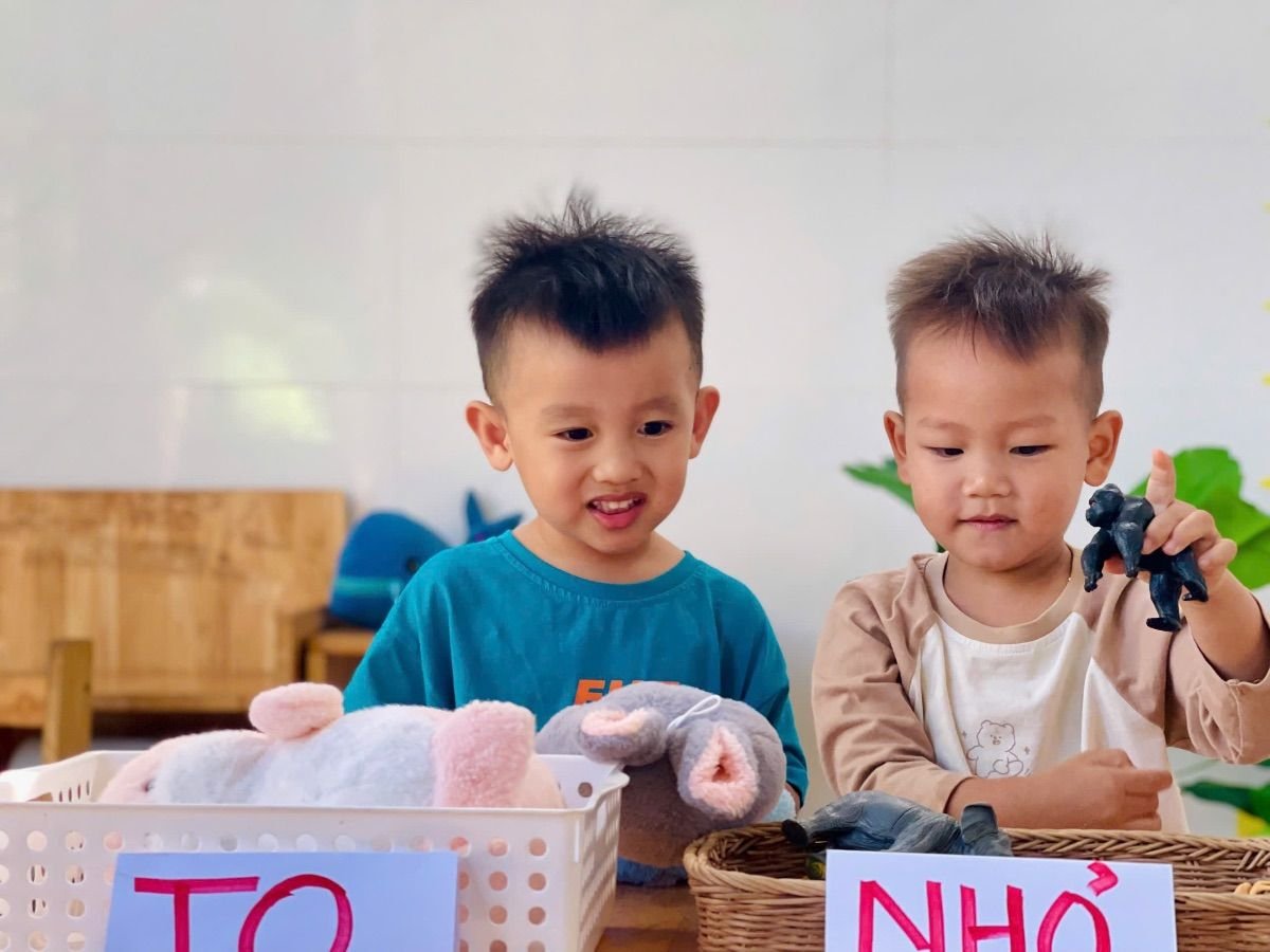 Ảnh hoạt động