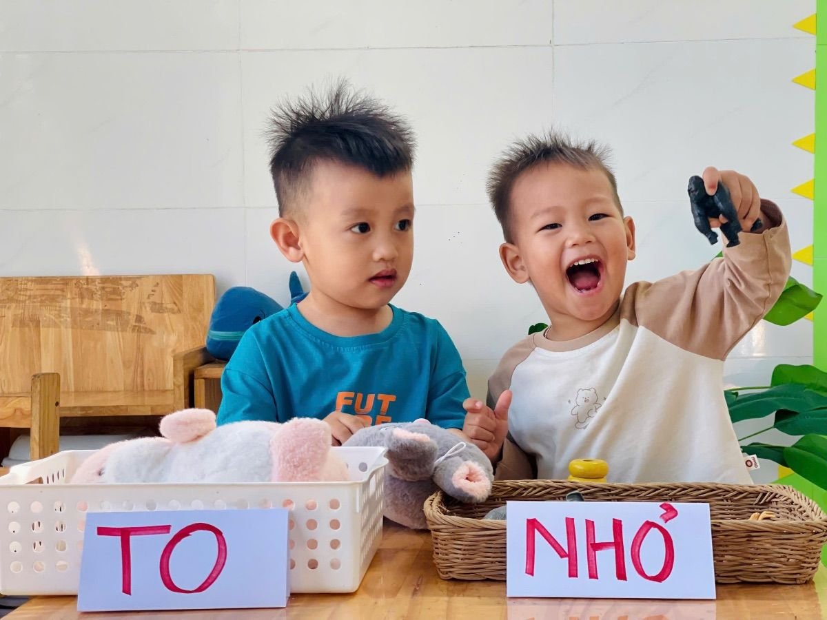 Ảnh hoạt động