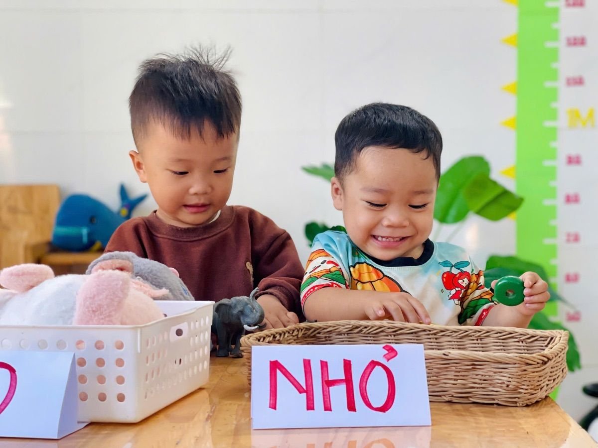 Ảnh hoạt động