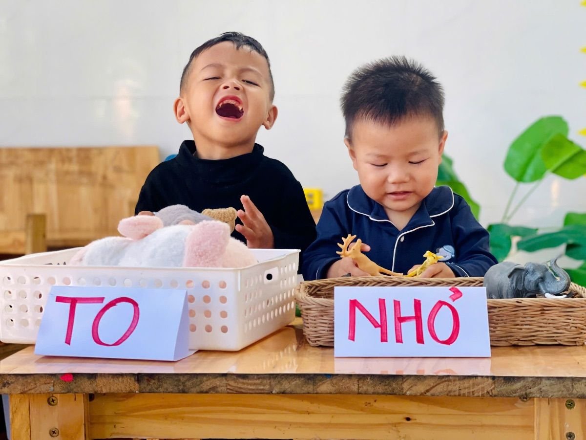 Ảnh hoạt động