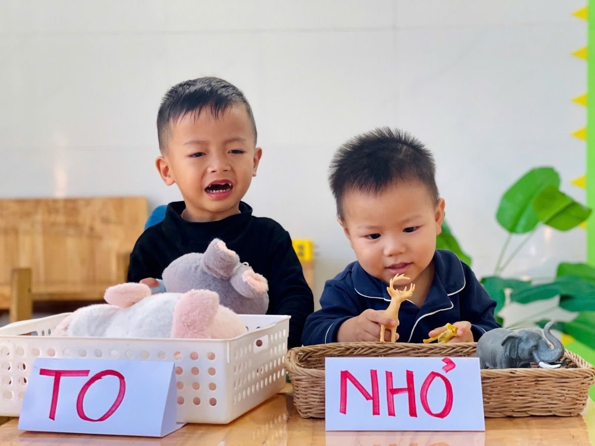 Ảnh hoạt động