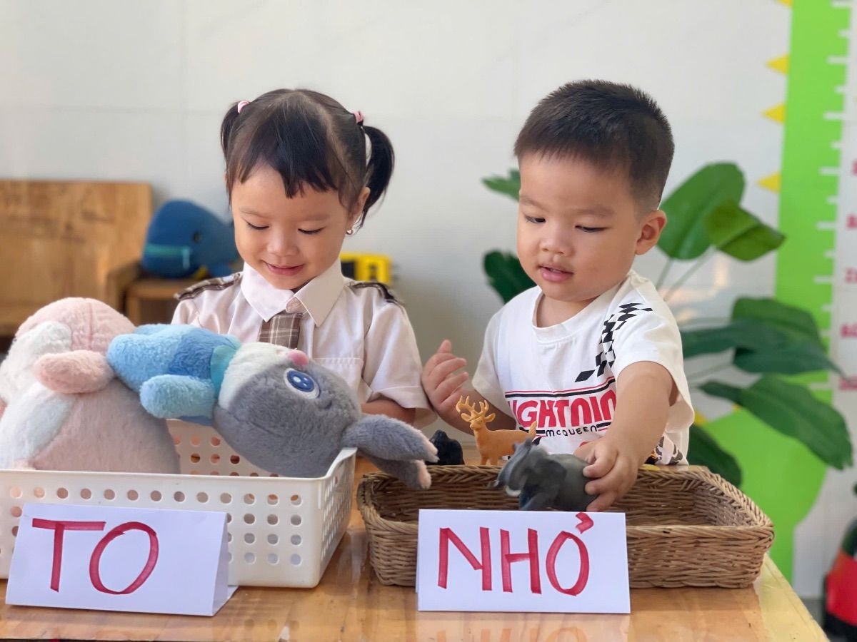 Ảnh hoạt động