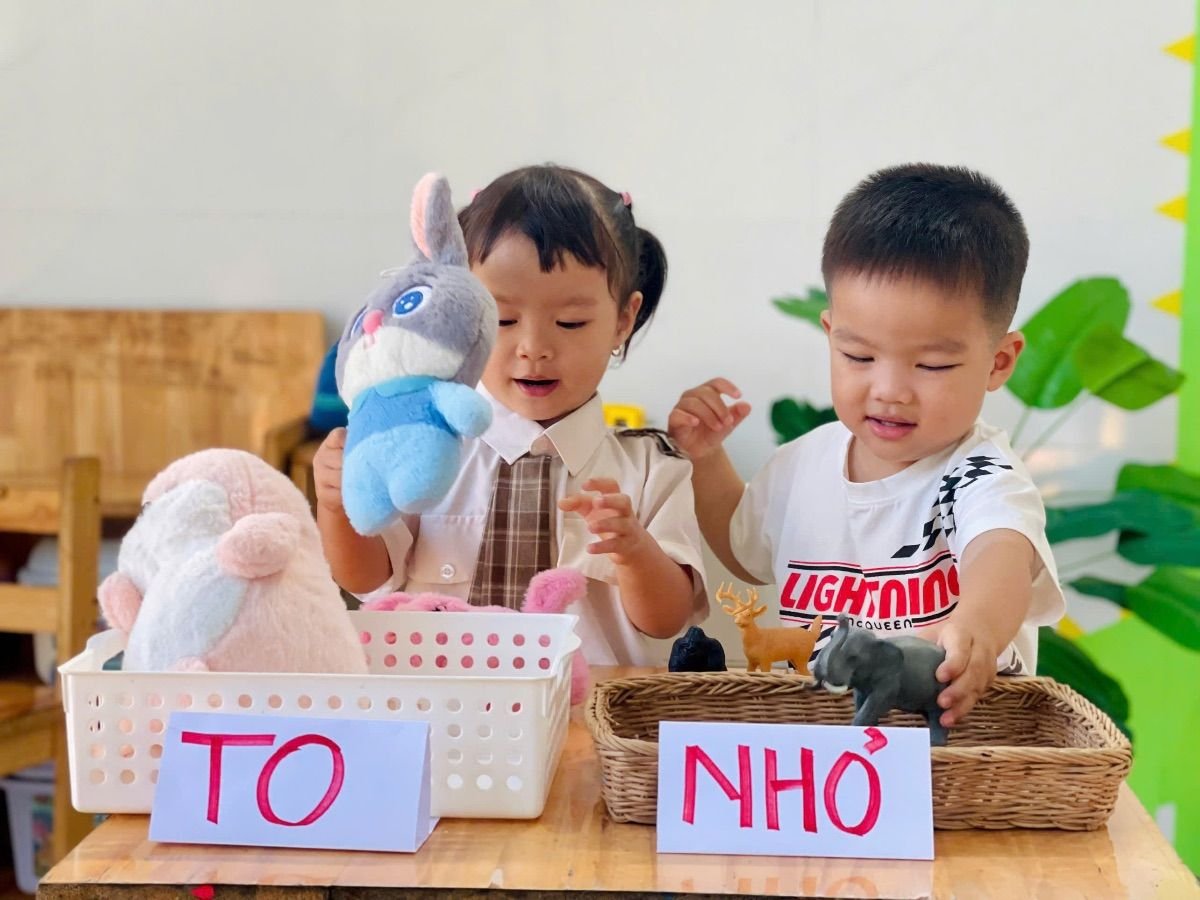 Ảnh hoạt động