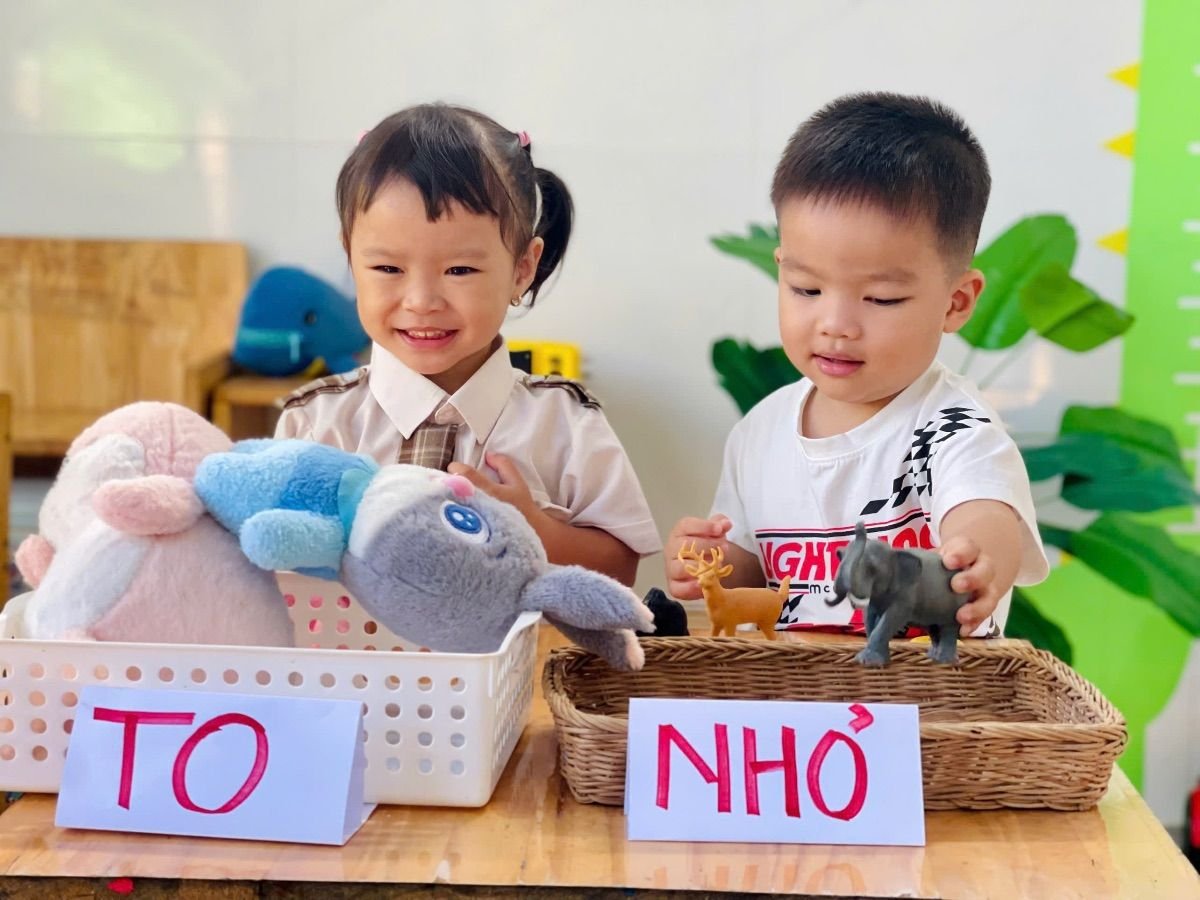 Ảnh hoạt động