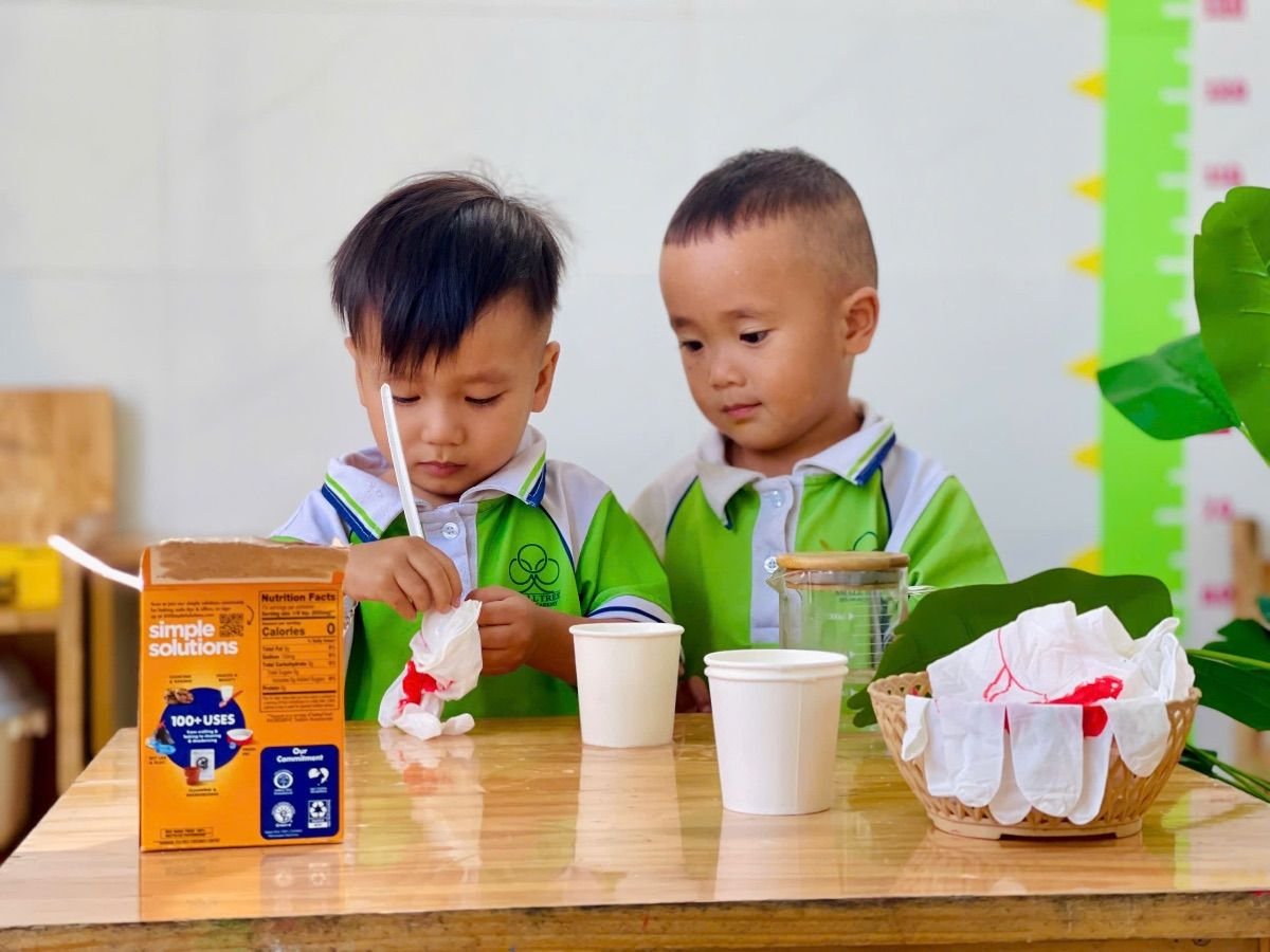 Ảnh hoạt động