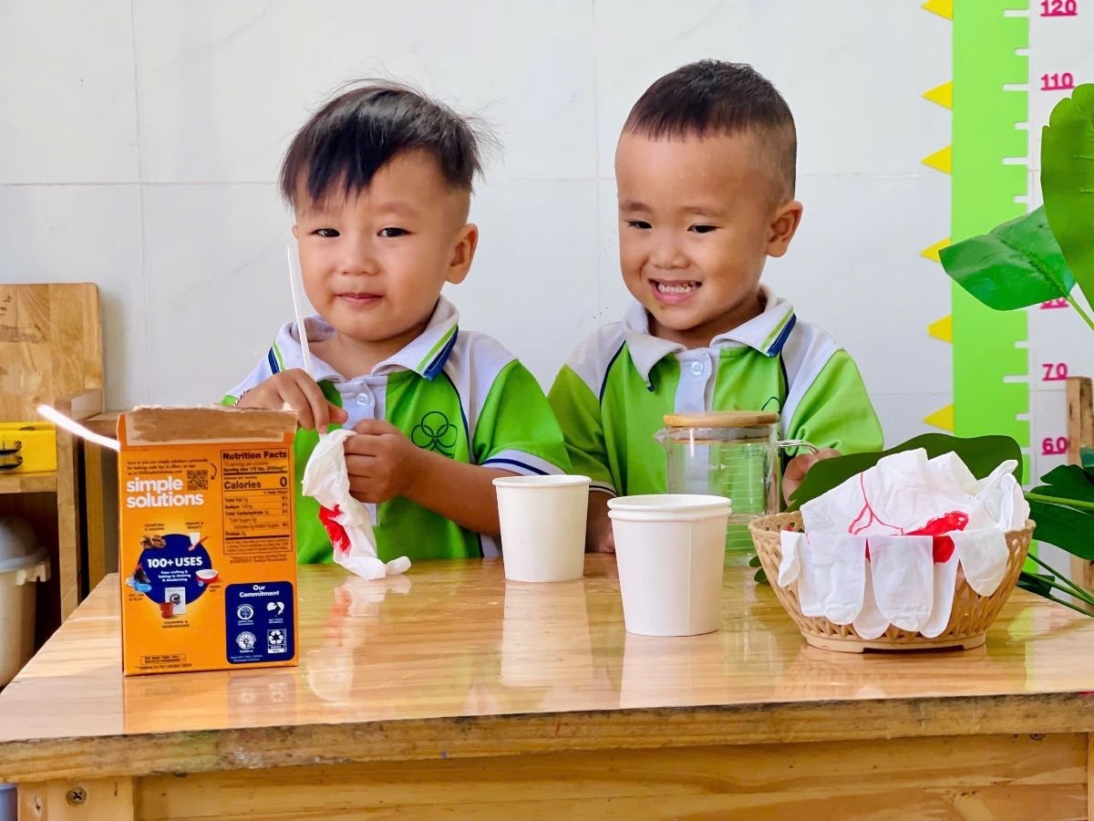 Ảnh hoạt động