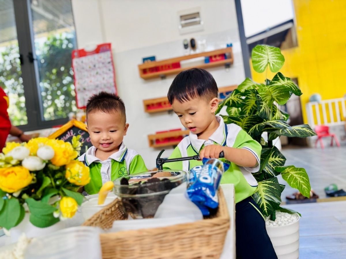 Ảnh hoạt động