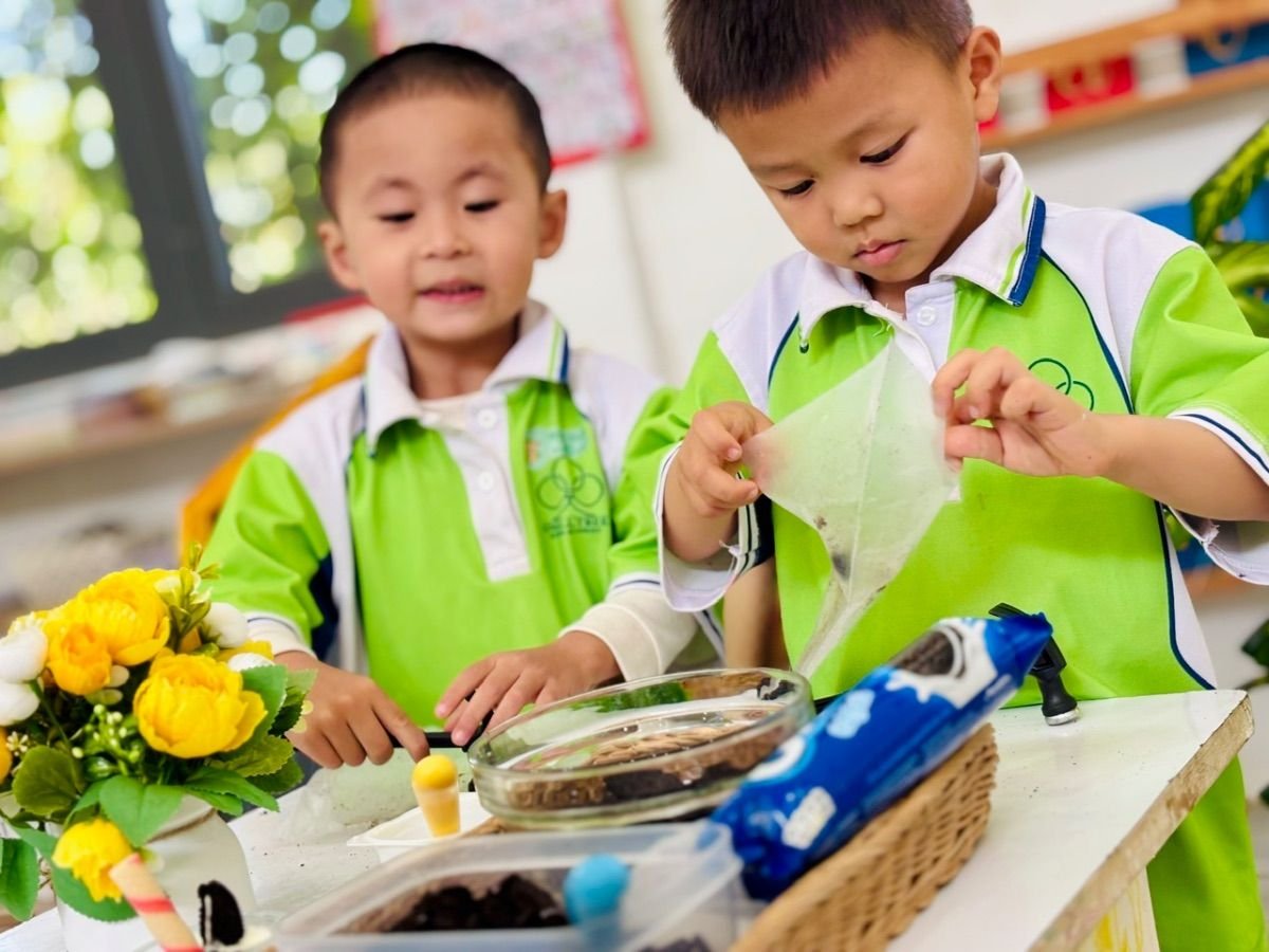 Ảnh hoạt động