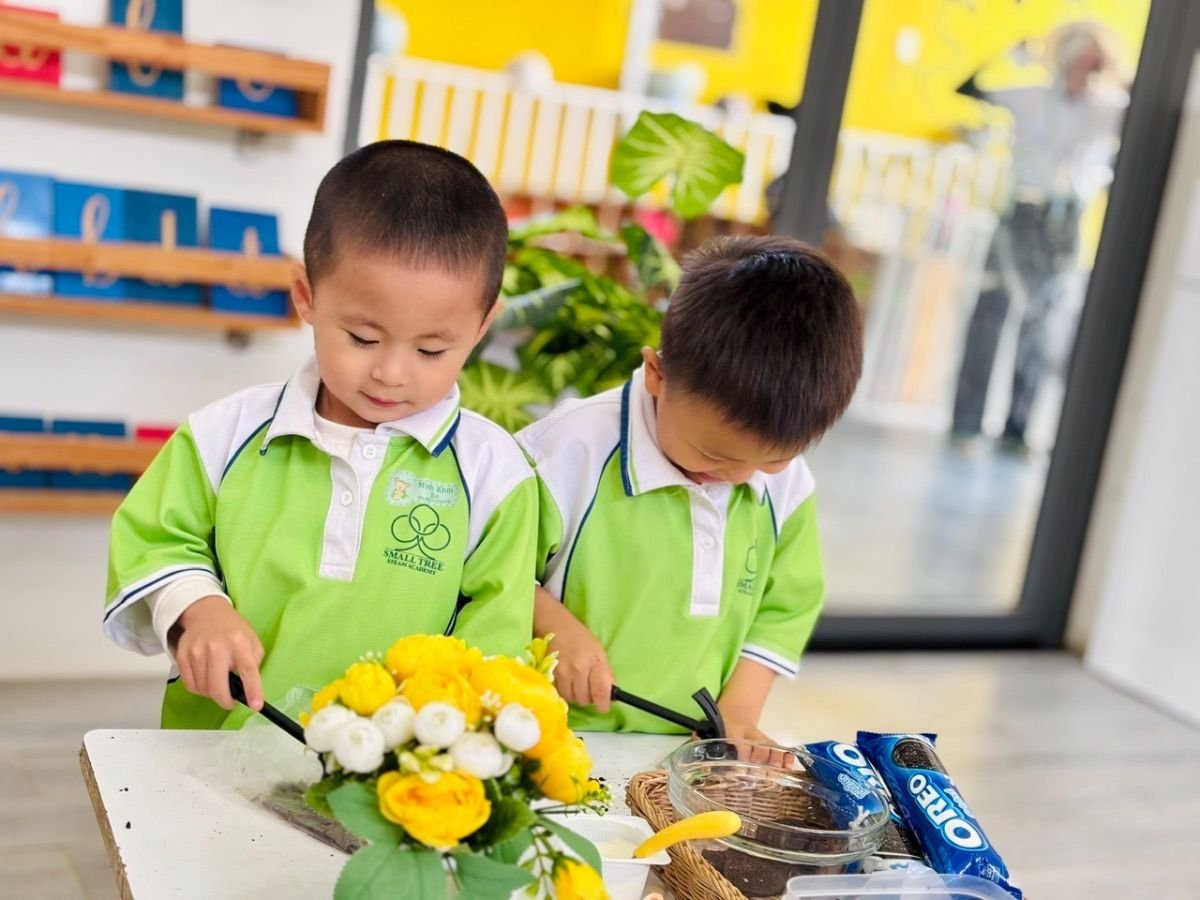 Ảnh hoạt động