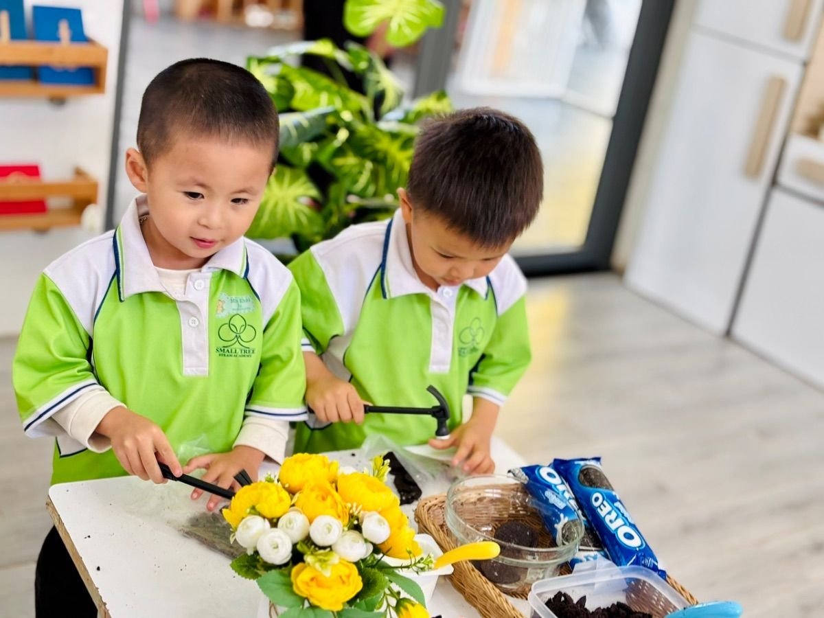 Ảnh hoạt động