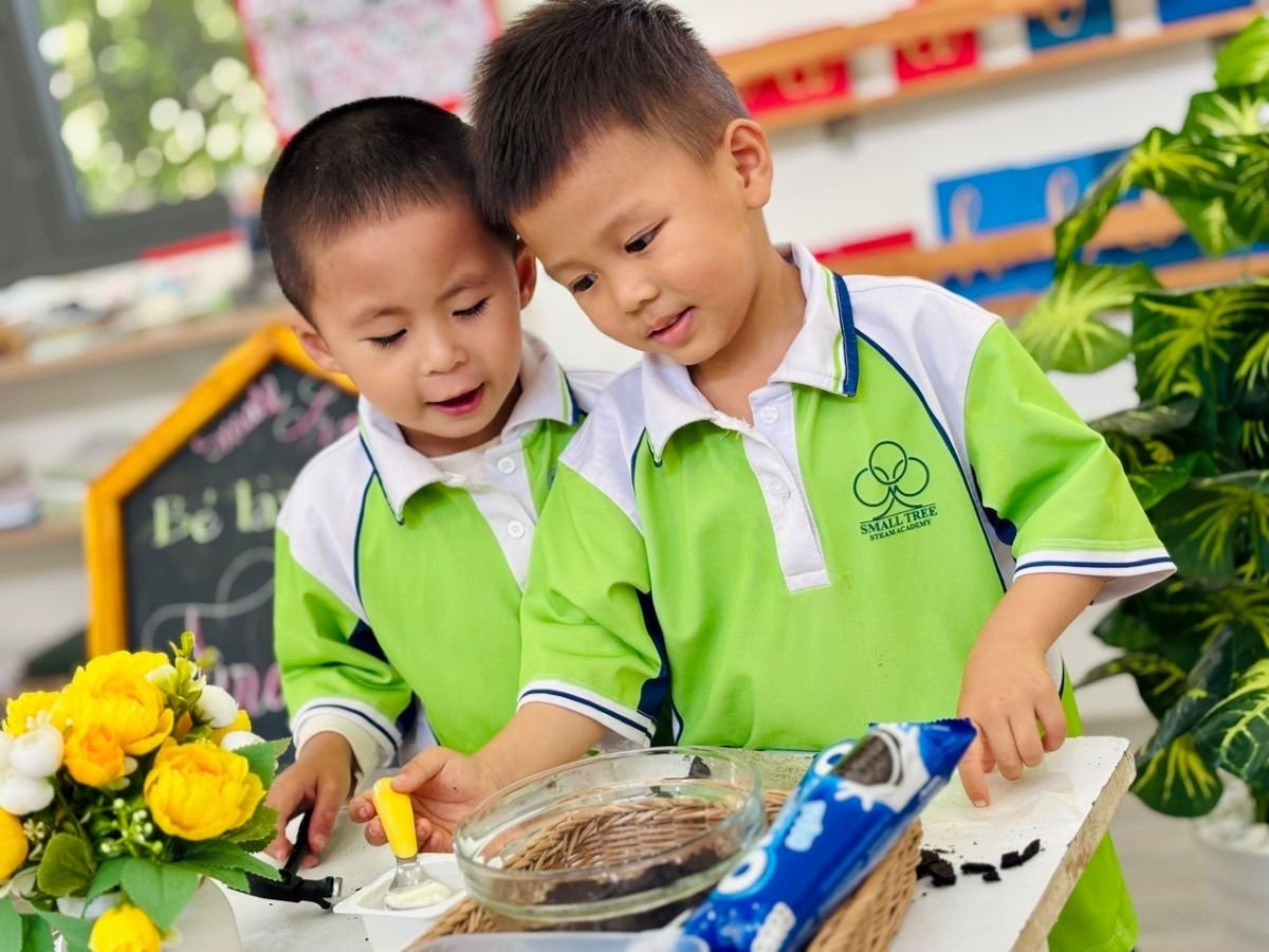Ảnh hoạt động