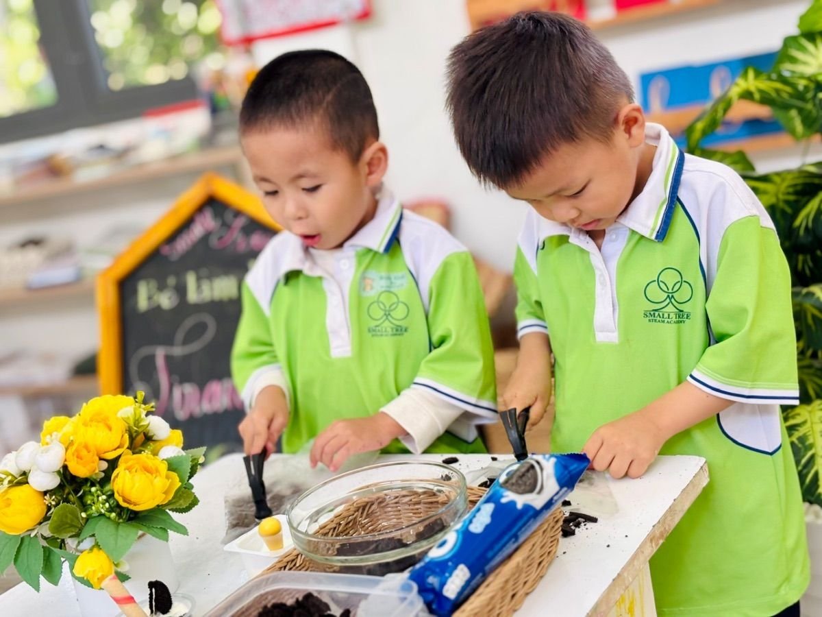 Ảnh hoạt động