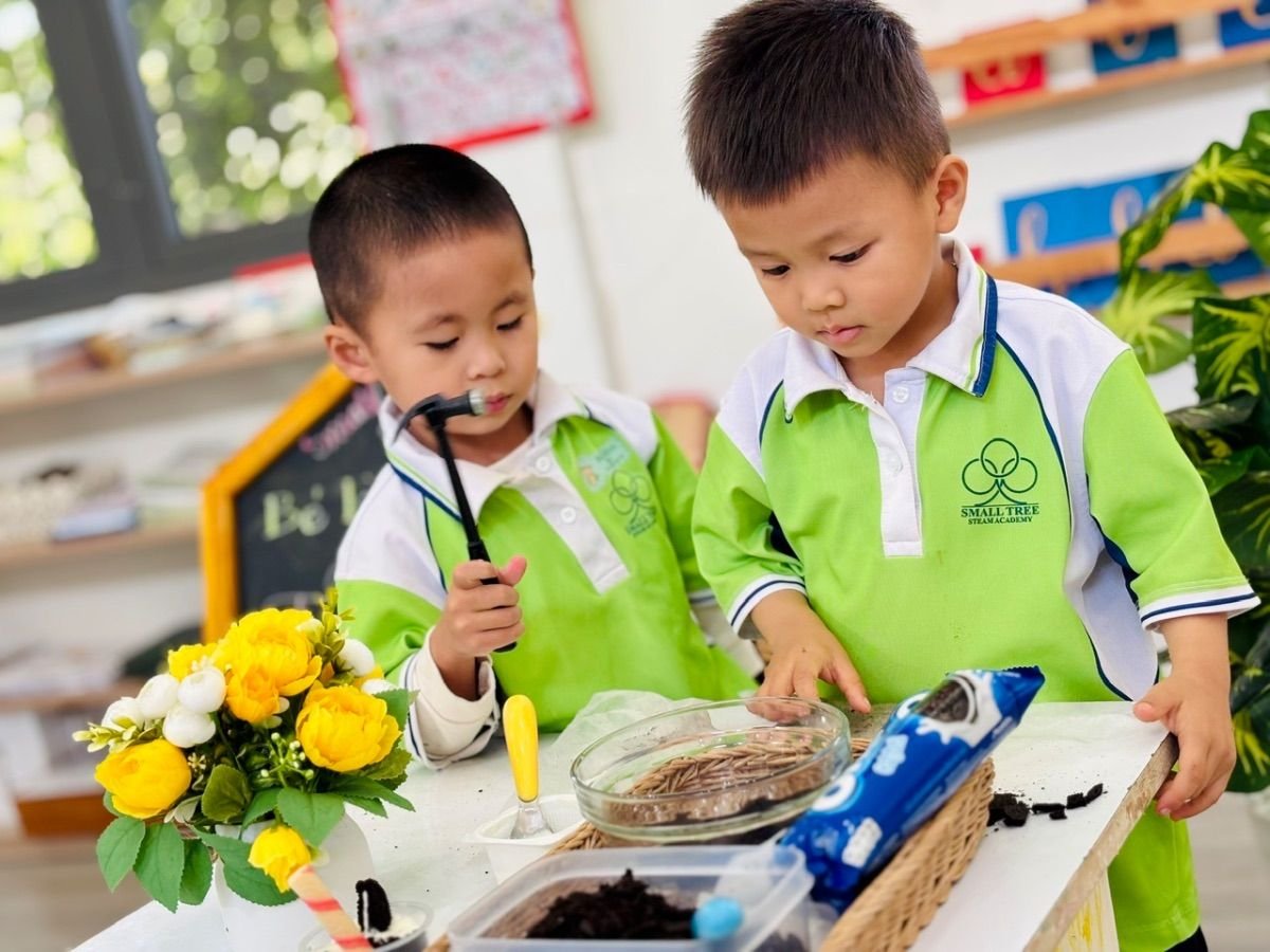 Ảnh hoạt động